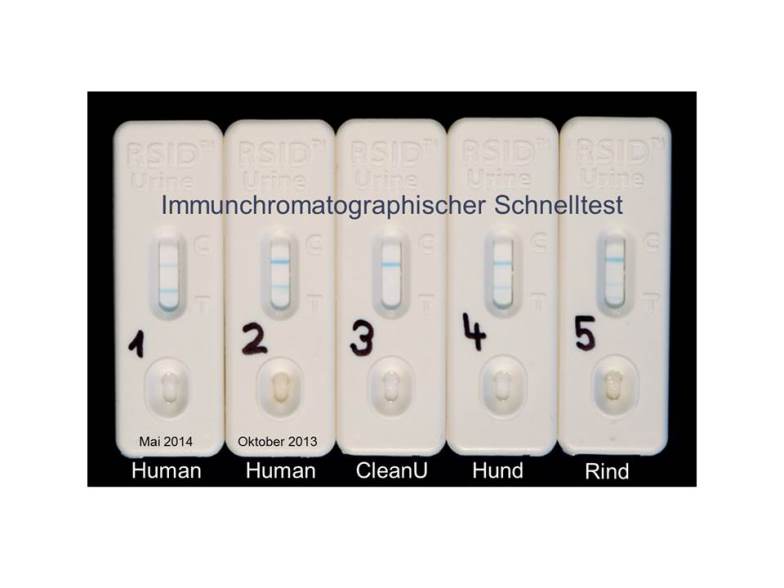 Fünf hochgestellte weisse Rechtecke mit hellblauen Streifen in der Mitte, was die Resultate der Schnelltests anzeigt.